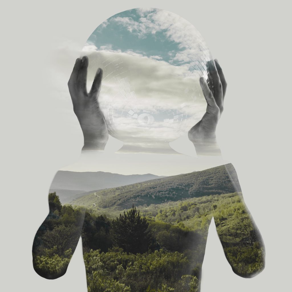 silhouette nature sq